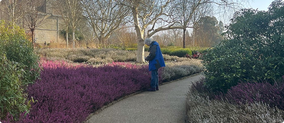 garden-women