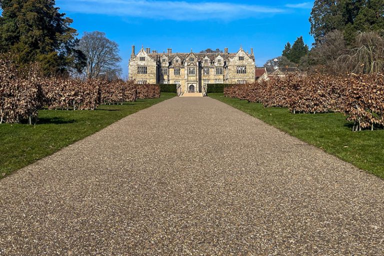 Oak Wakehurst Place