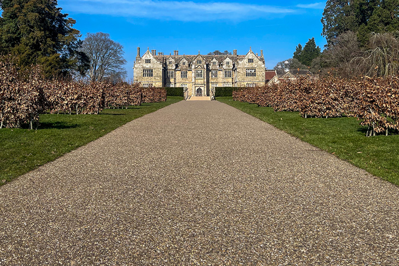 Oak Wakehurst Place