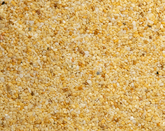Grantex Canario Yellow